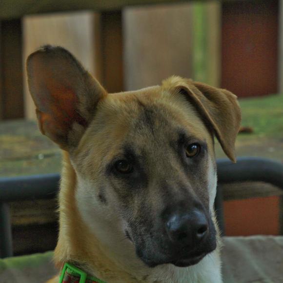 Meet your Posher, Kathy - Picture 1 of 1